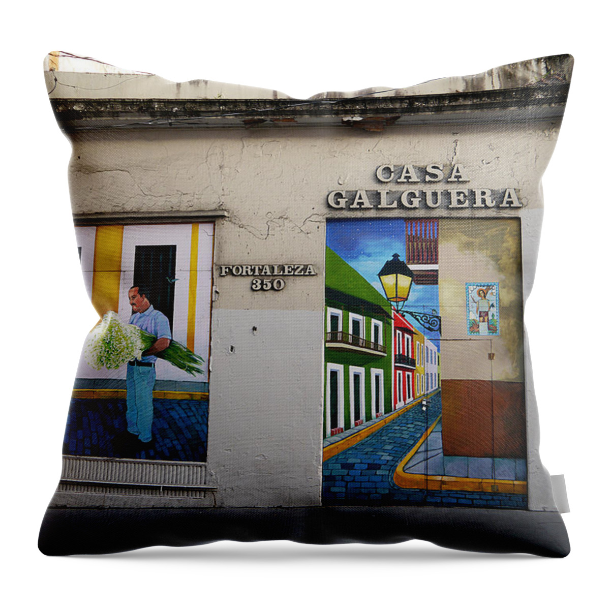 Richard Reeve Throw Pillow featuring the photograph San Juan - Casa Galguera Mural by Richard Reeve