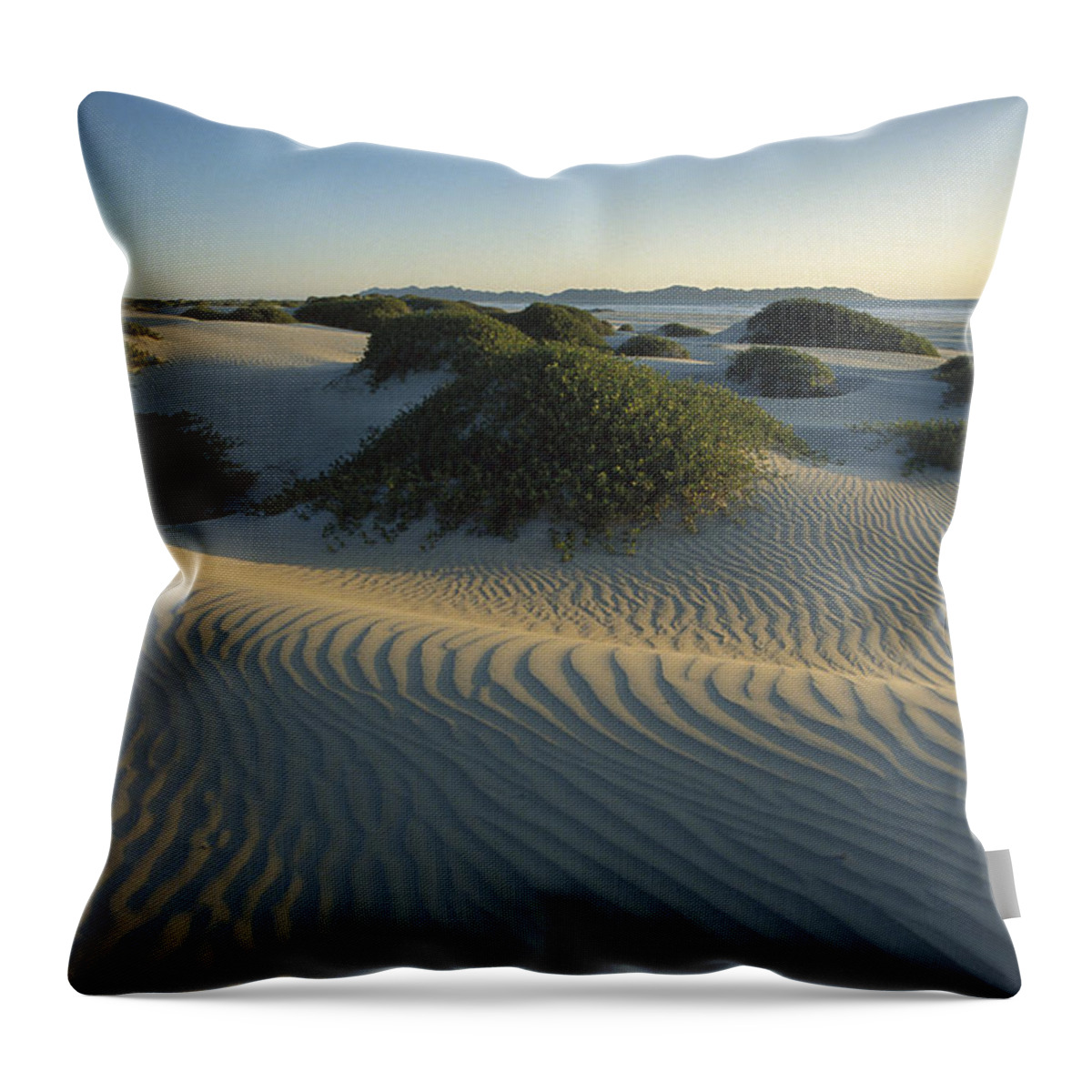 Feb0514 Throw Pillow featuring the photograph Sand Dunes Magdalena Island Baja by Tui De Roy
