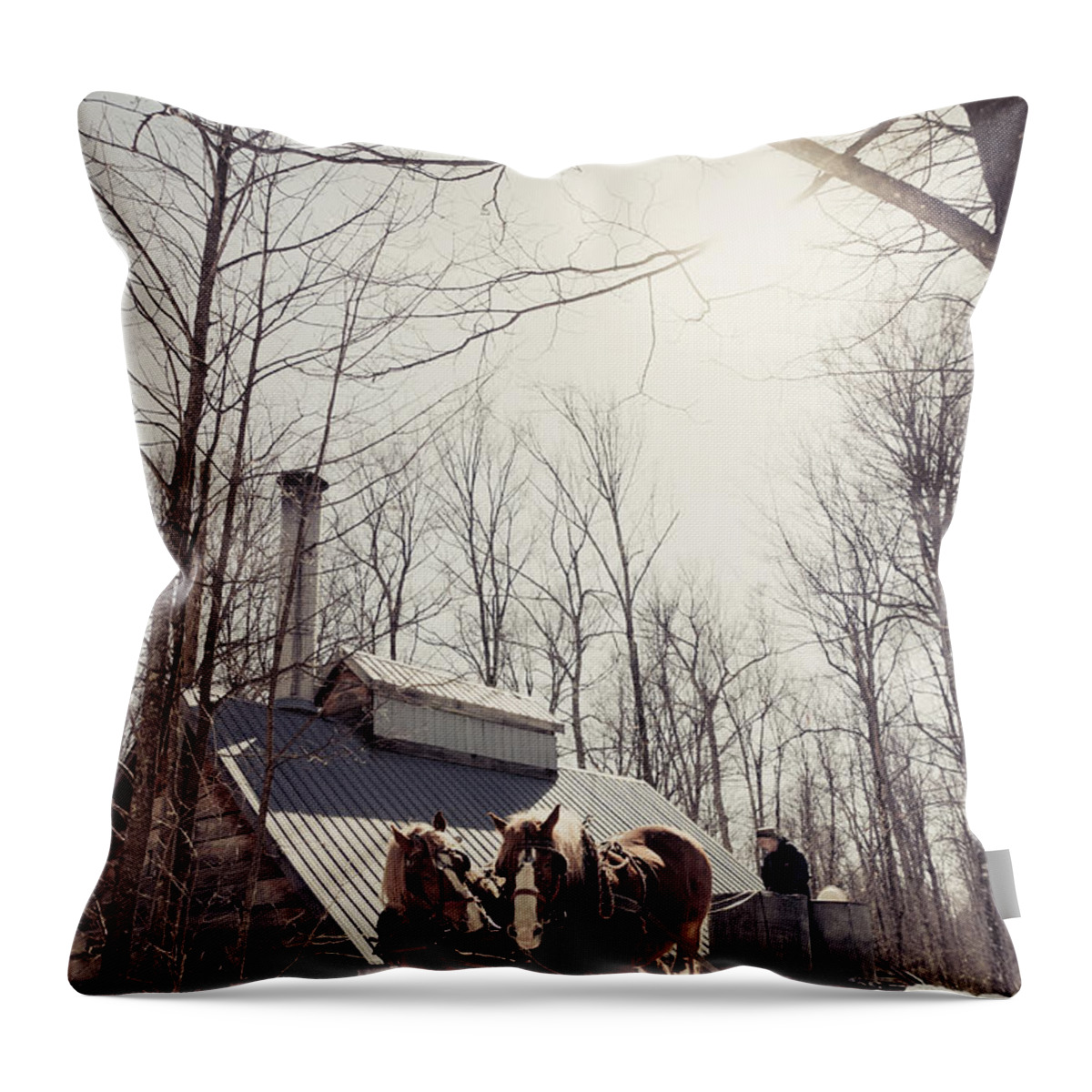 Maple Syrup Throw Pillow featuring the photograph Sap Collection by Cheryl Baxter
