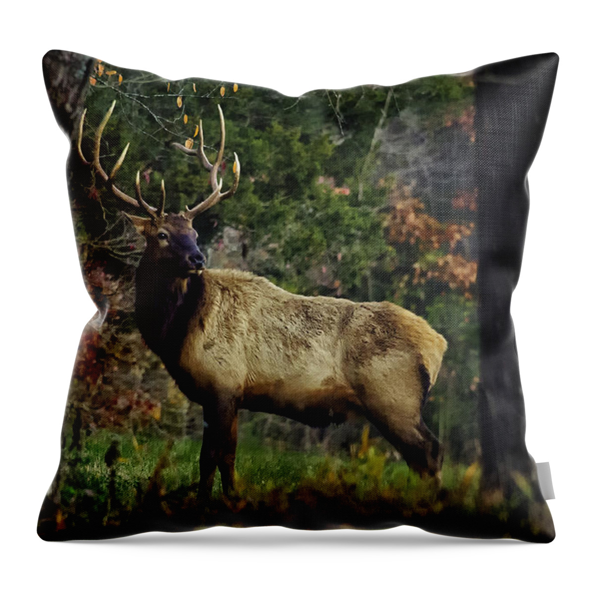 Elk Throw Pillow featuring the photograph Satellite Bull Along Tree Line by Michael Dougherty