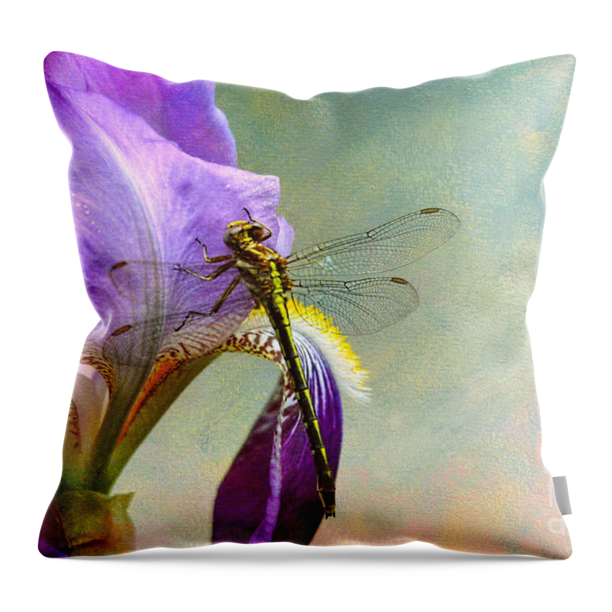 Iris Germanica Throw Pillow featuring the photograph Say Hello To Spring by Jai Johnson