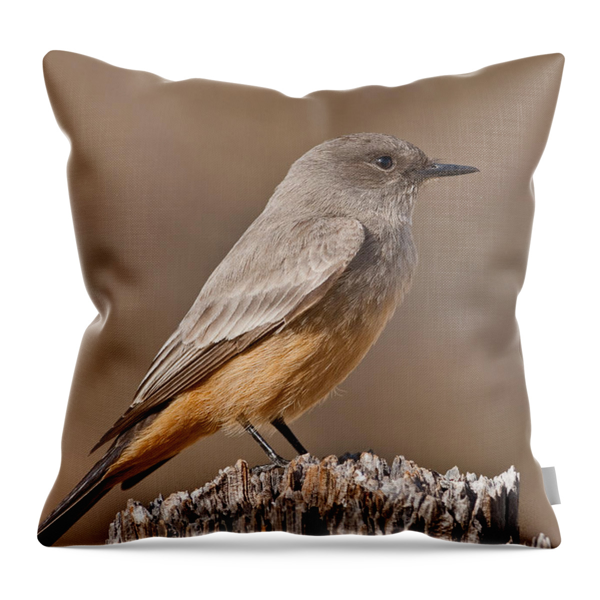 Animal Throw Pillow featuring the photograph Say's Phoebe on a Fence Post by Jeff Goulden