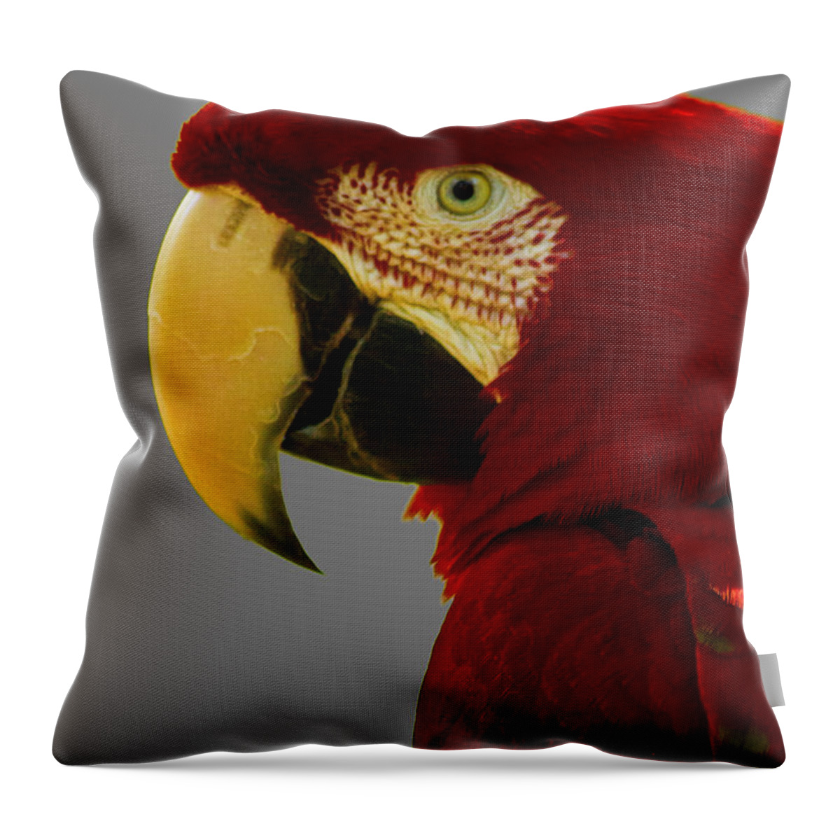Macaw Throw Pillow featuring the photograph Scarlet Macaw by Bill Barber
