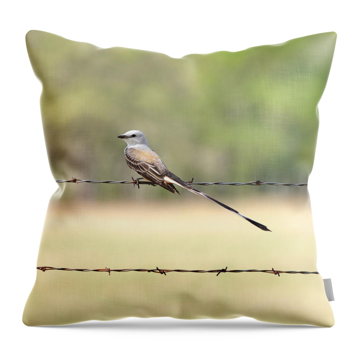 Flycatcher Throw Pillow featuring the photograph Scissor-tailed Flycatcher by Frank Madia