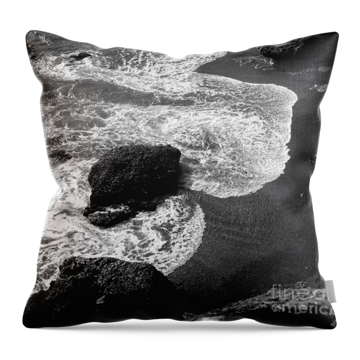 Point Lobos Throw Pillow featuring the photograph Sea Lion Cove by James B Toy