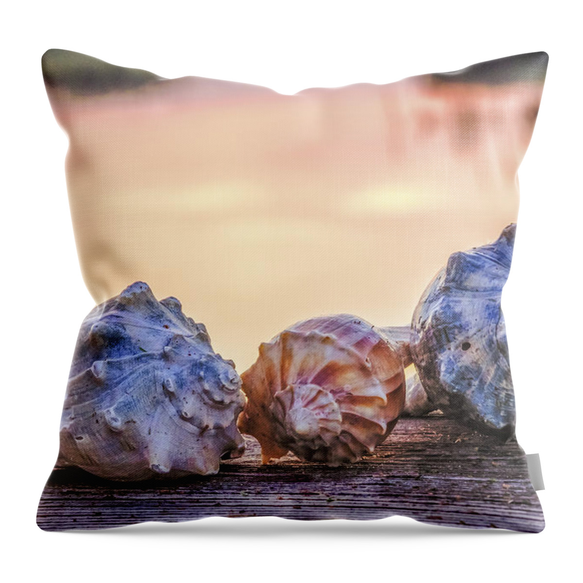 Shell Throw Pillow featuring the photograph Sea Shells Image Art by Jo Ann Tomaselli