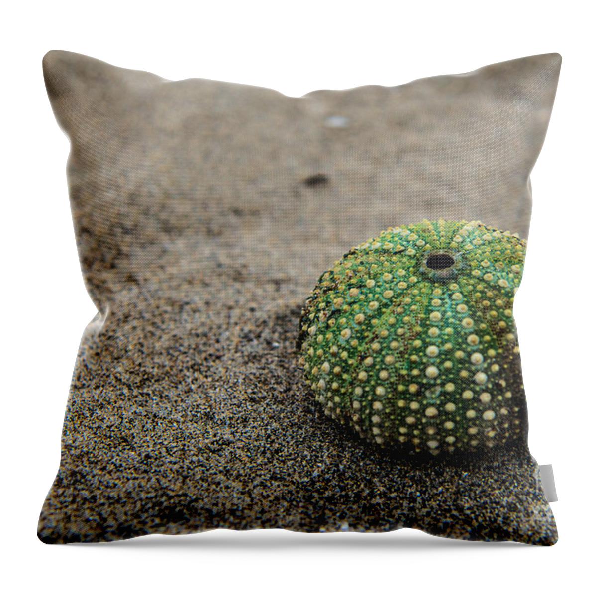 Friaul-julisch Venetien Throw Pillow featuring the photograph Sea Urchin by Hannes Cmarits
