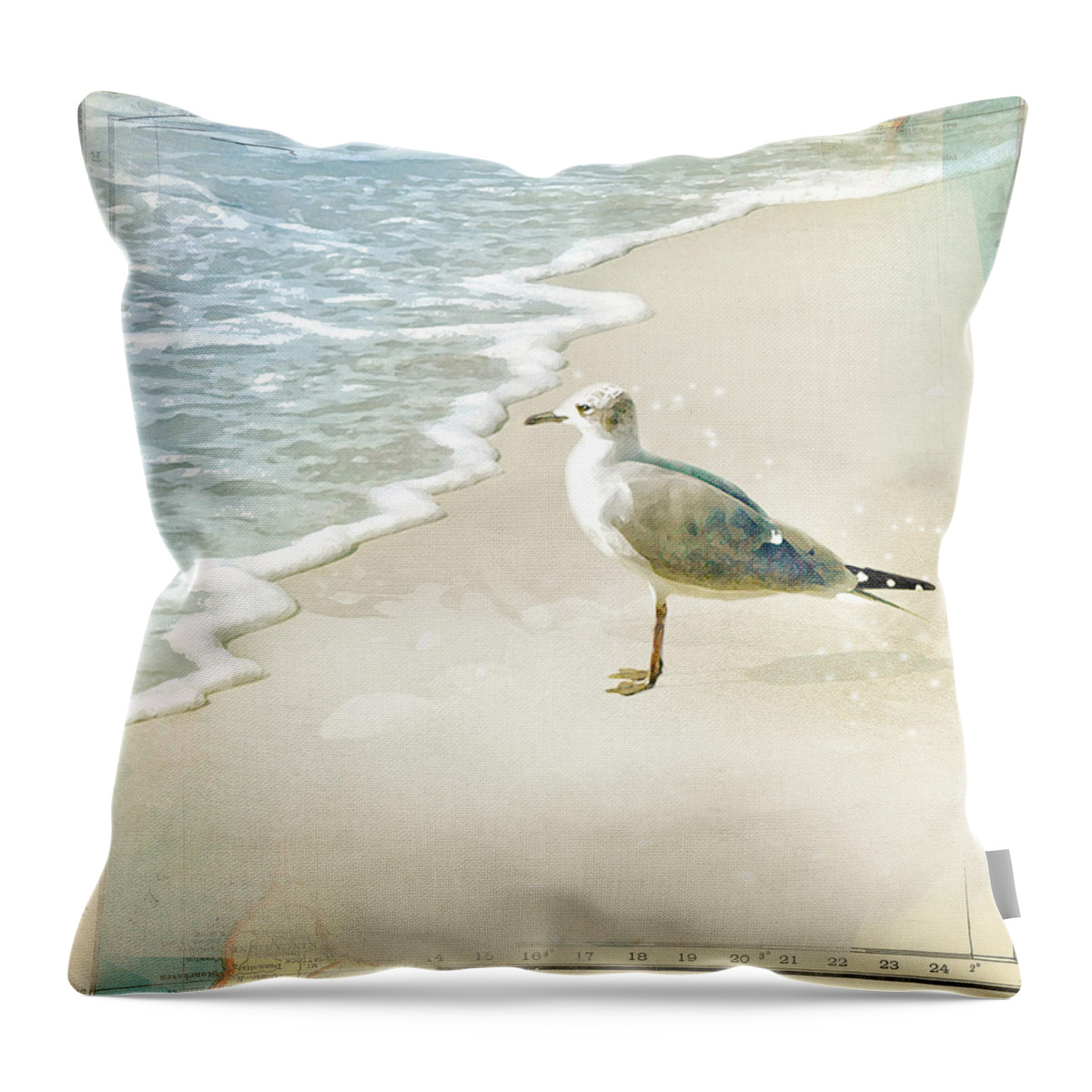 Seagull Throw Pillow featuring the photograph Marco Island Seagull by Karen Lynch