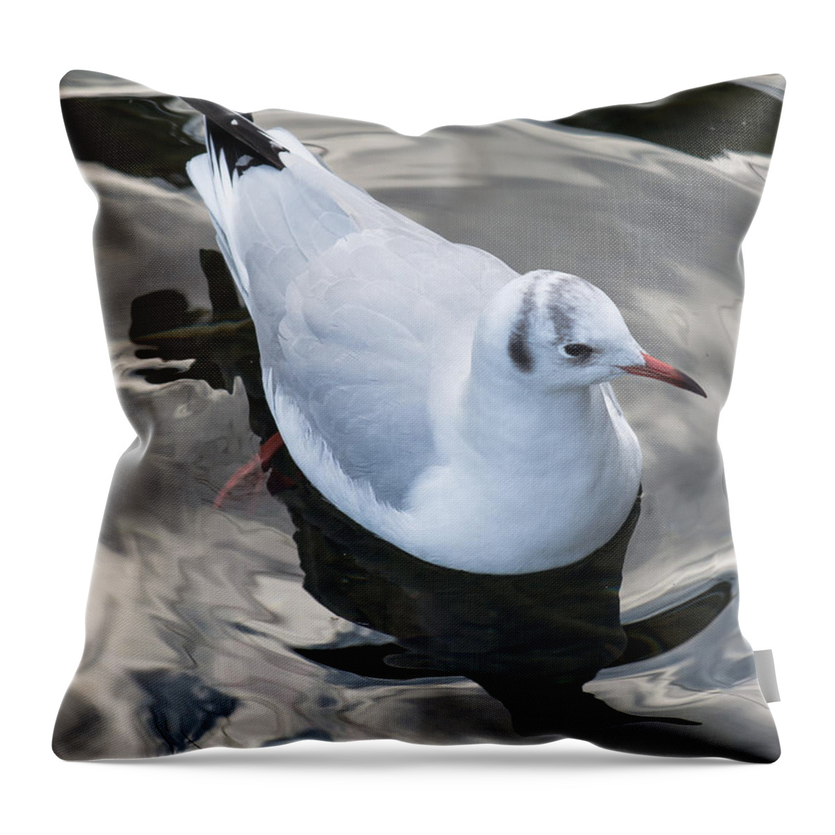 Seagull Throw Pillow featuring the photograph Seagull And Water Reflections by Andreas Berthold