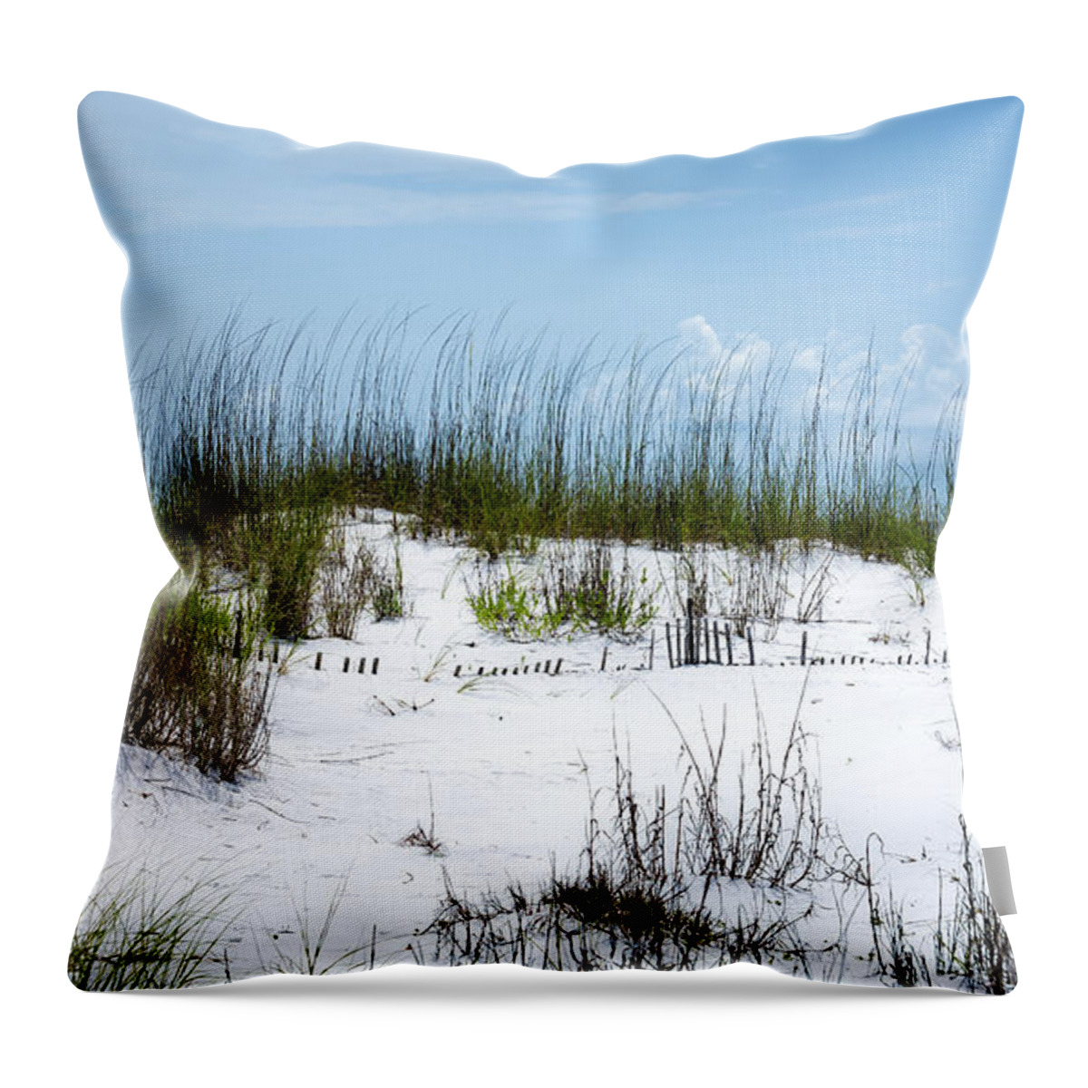 Beach Throw Pillow featuring the photograph Seaside Fenceline by David Morefield