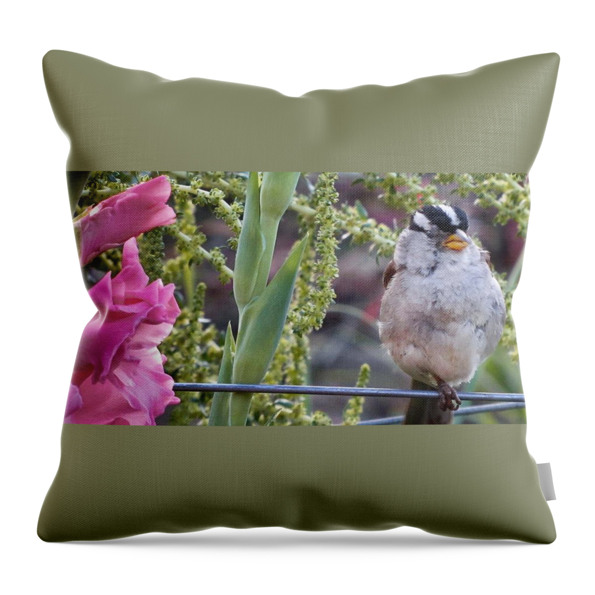Bird Throw Pillow featuring the photograph Seattle Bird by Natalie Rotman Cote