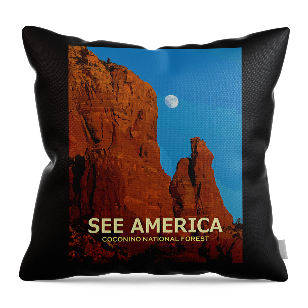 Poster Throw Pillow featuring the digital art See America - Coconino National Forest by Ed Gleichman