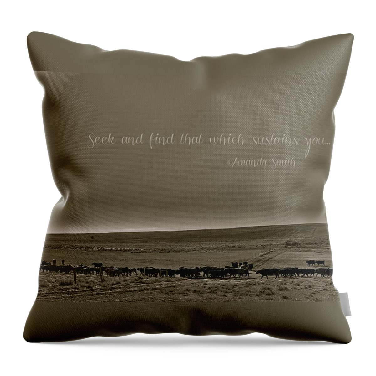 Cattle Throw Pillow featuring the photograph Seek and Find by Amanda Smith