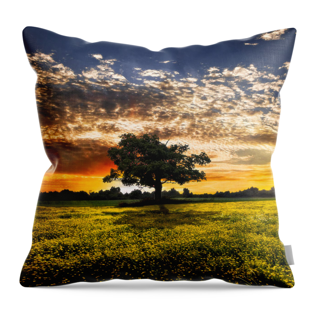 Barns Throw Pillow featuring the photograph Shadows At Sunset by Debra and Dave Vanderlaan