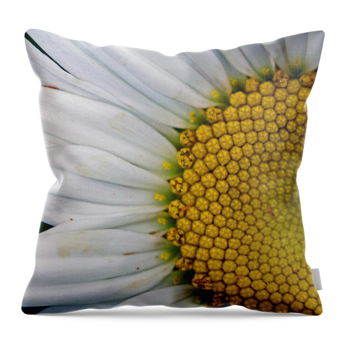 Flowers Throw Pillow featuring the photograph Shasta by Jennifer Robin