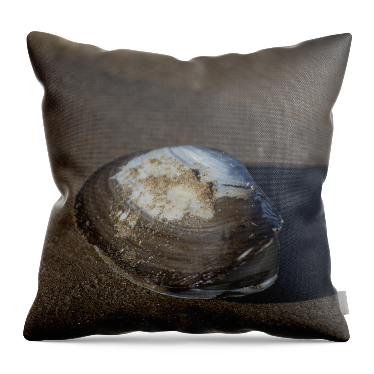 Sea Shell Throw Pillow featuring the photograph Shell or someone's dinner by Spikey Mouse Photography