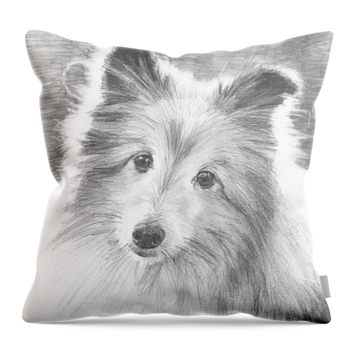 <a Href=http://miketheuer.com Target =_blank>www.miketheuer.com</a> Sheltie Dog Pencil Portrait Mike Theuer Throw Pillow featuring the drawing Sheltie Dog Pencil Portrait by Mike Theuer