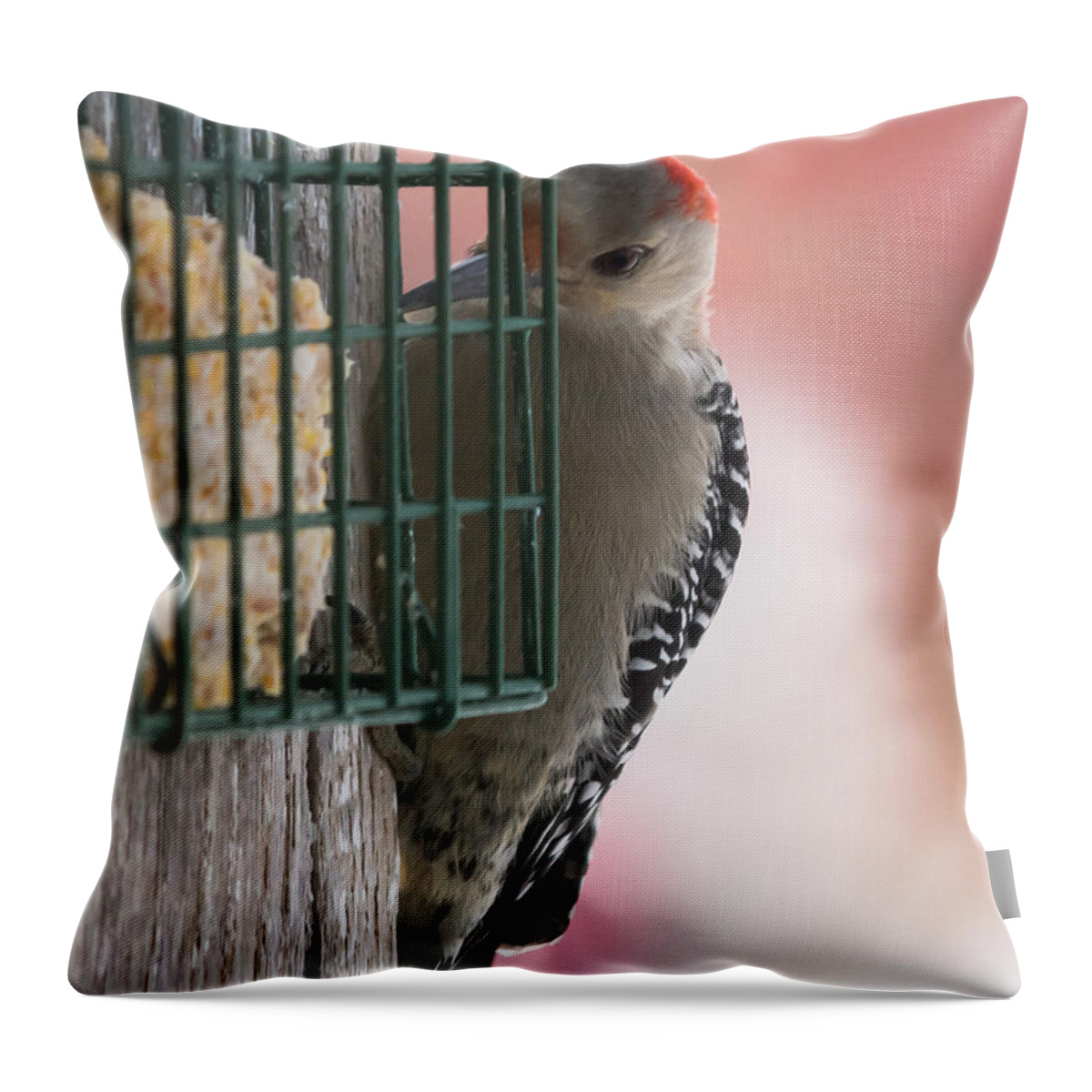 Woodpecker Throw Pillow featuring the photograph She's A Beauty by Holden The Moment