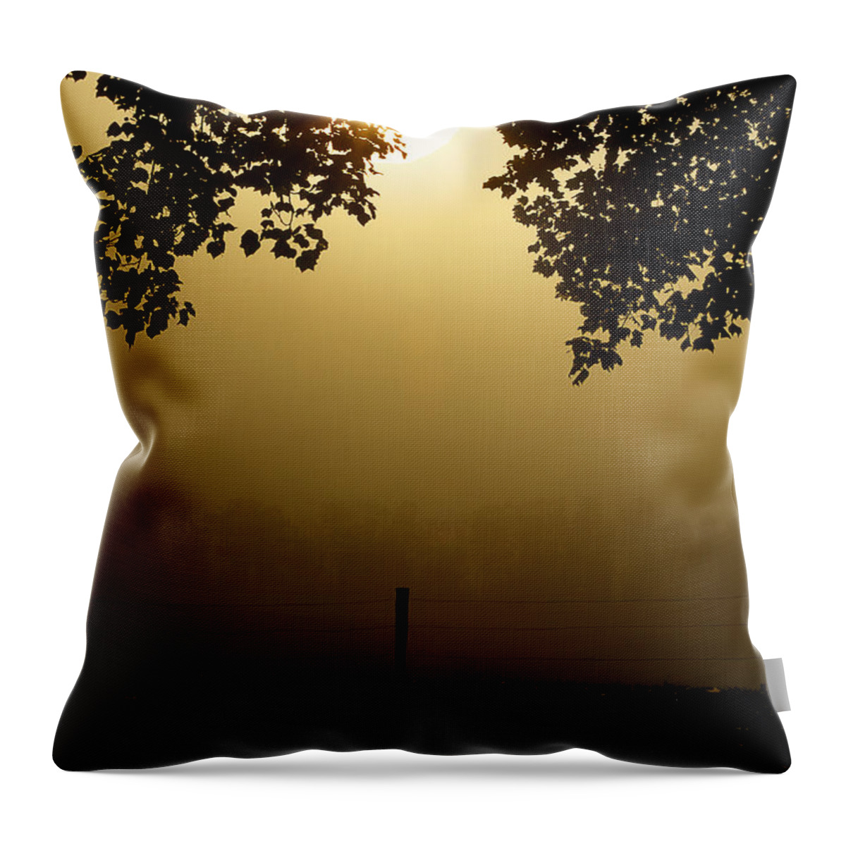 Cades Cove Throw Pillow featuring the photograph Shining Through The Fog by Michael Eingle
