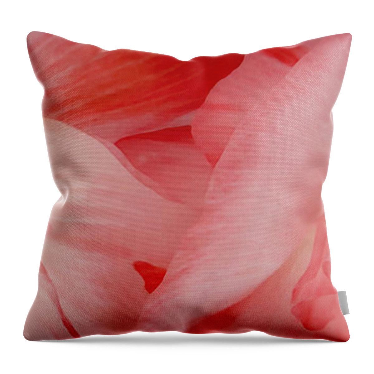 Poppies Throw Pillow featuring the photograph Shirley Poppies by Theresa Tahara