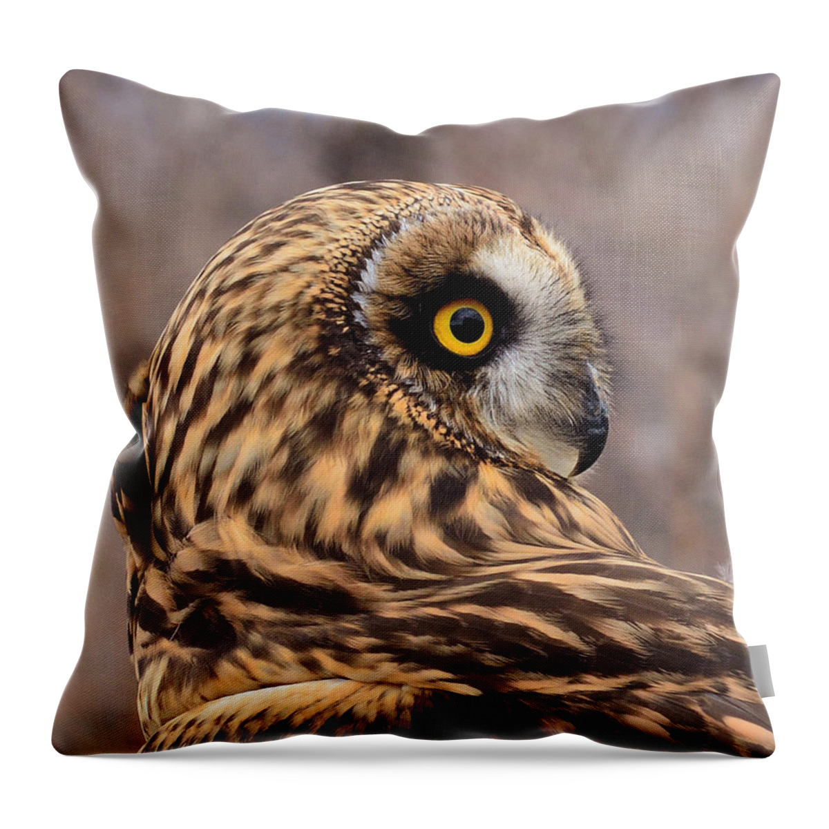 Owl Throw Pillow featuring the photograph Short-eared Owl 1 by Kae Cheatham