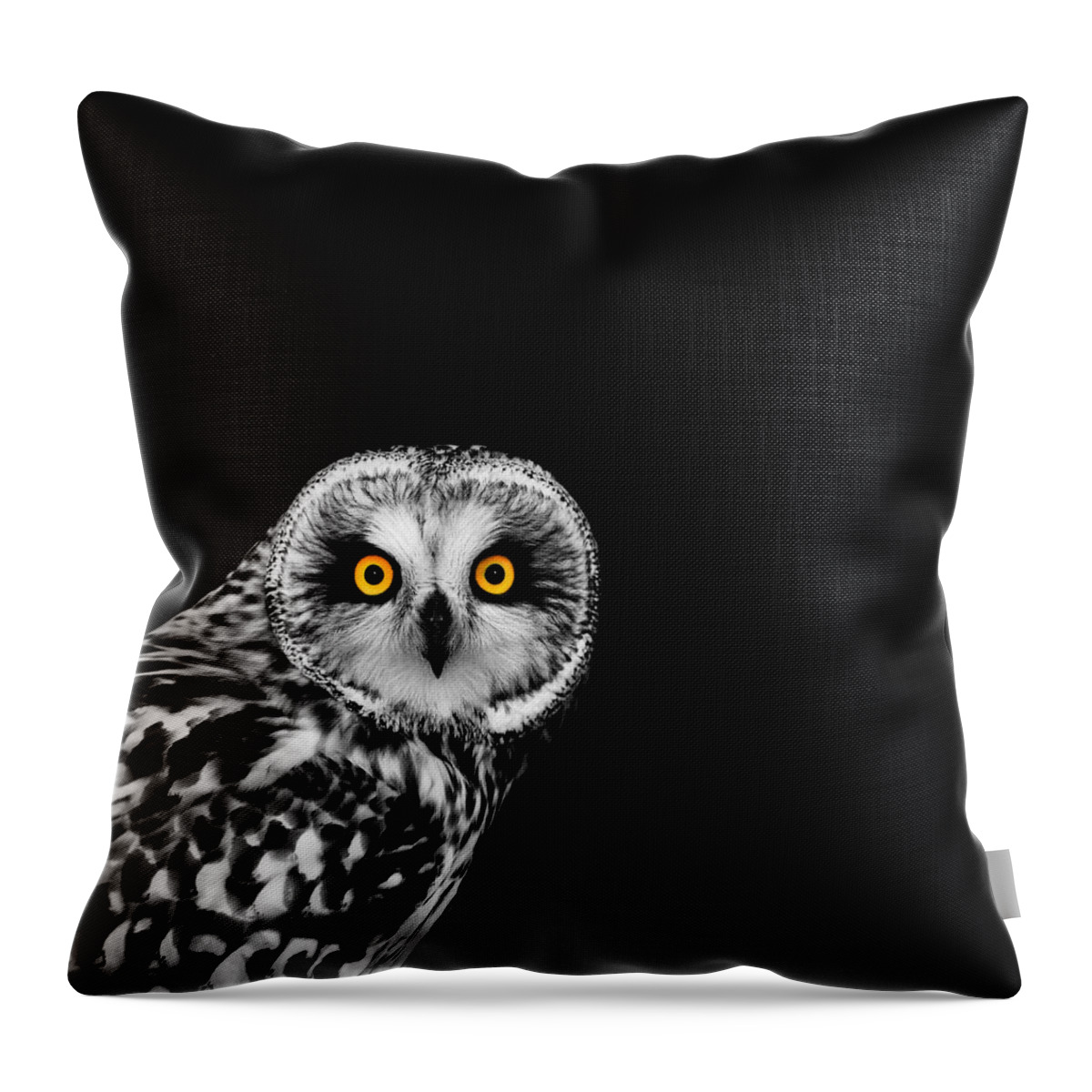 Short Eared Owl Throw Pillow featuring the photograph Short-Eared Owl by Mark Rogan