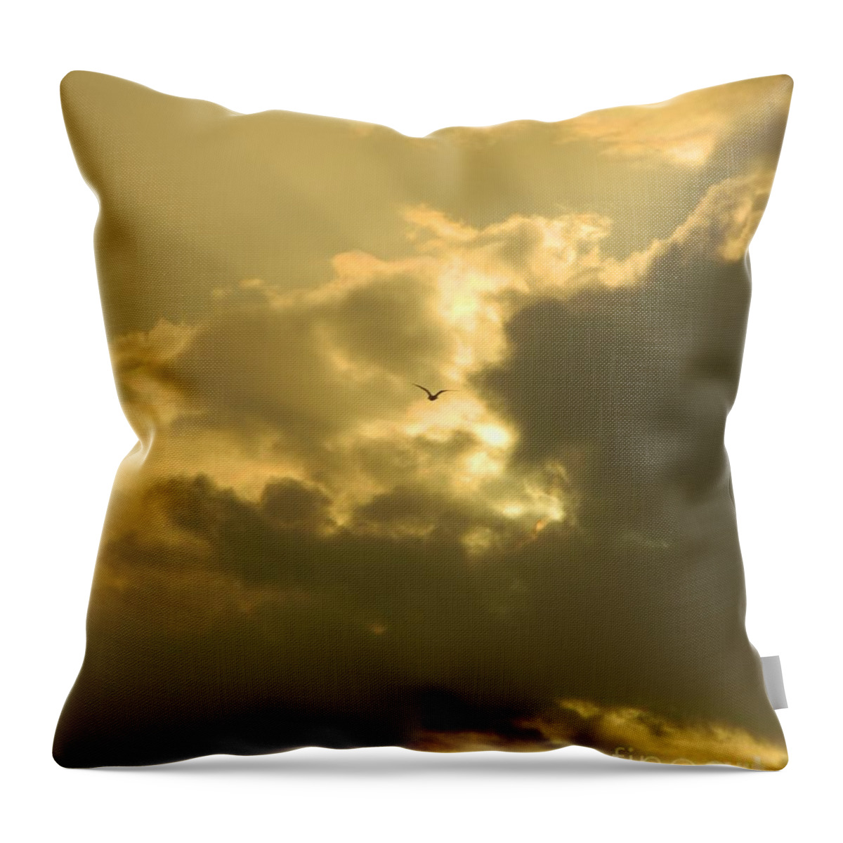 Seagull Throw Pillow featuring the photograph Silence of Peace by Gallery Of Hope 