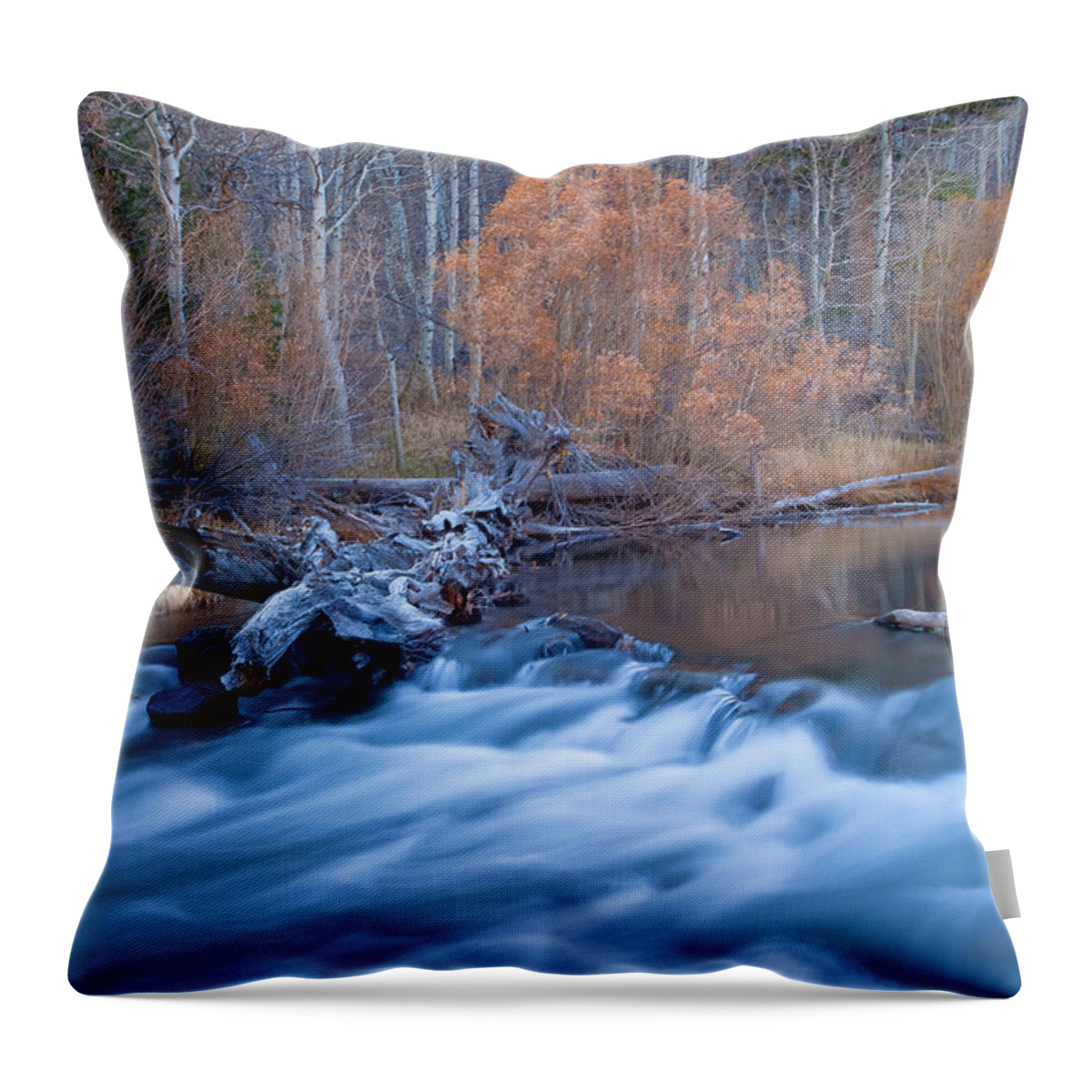 Nature Throw Pillow featuring the photograph Silence Of The Fall by Jonathan Nguyen