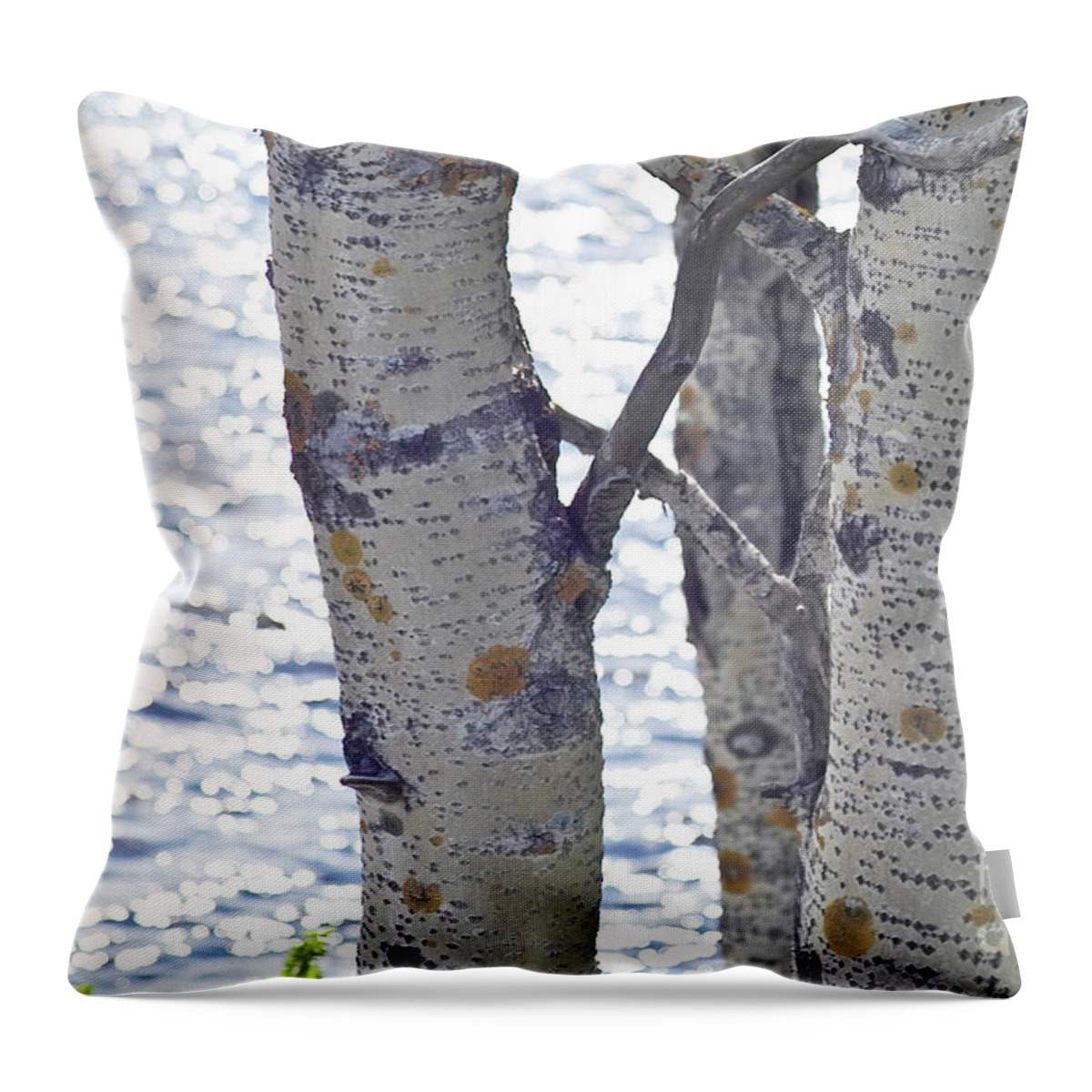 Tree Throw Pillow featuring the photograph Silver birch trees at a sunny lake by Heiko Koehrer-Wagner