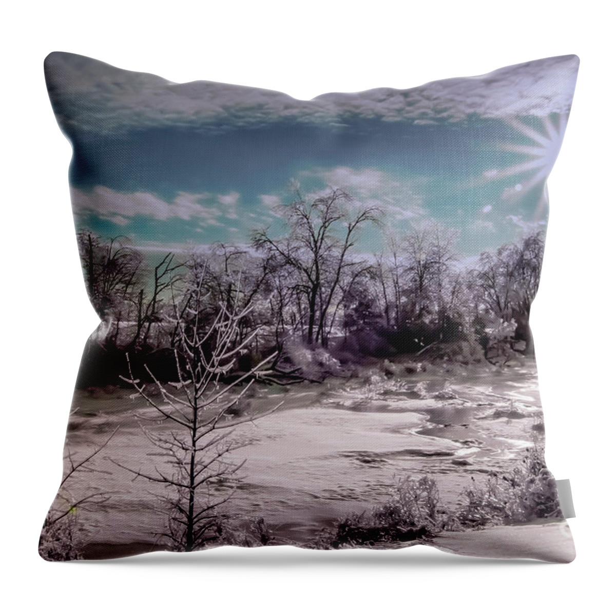 Maine Throw Pillow featuring the photograph Silver Winter Ice by Brenda Giasson