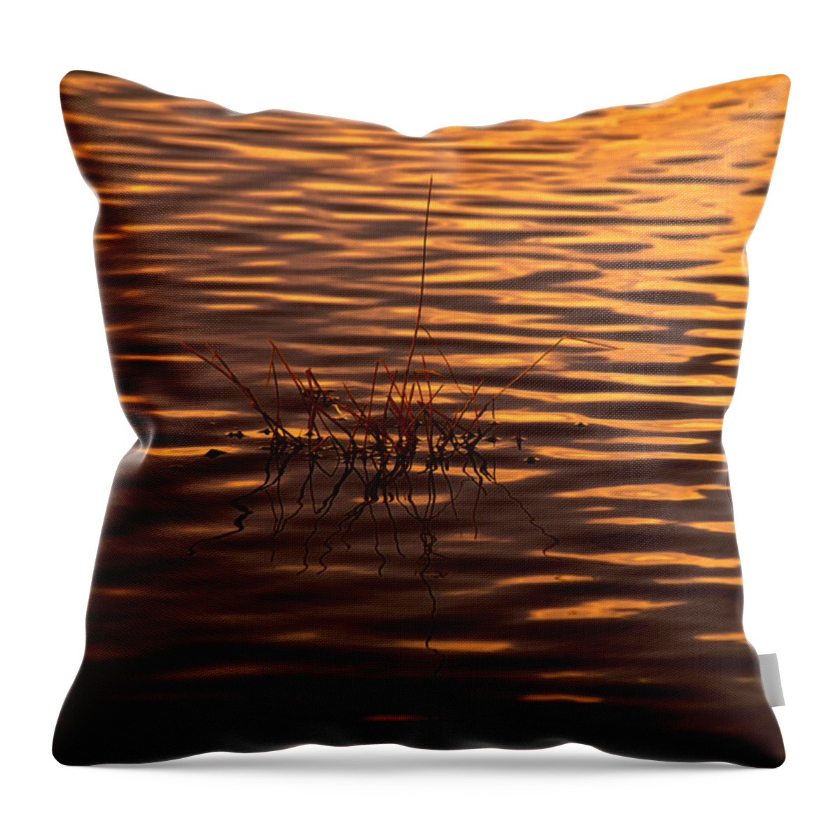 Rippled Water Throw Pillow featuring the photograph Simple Sunset by Bonnie Bruno