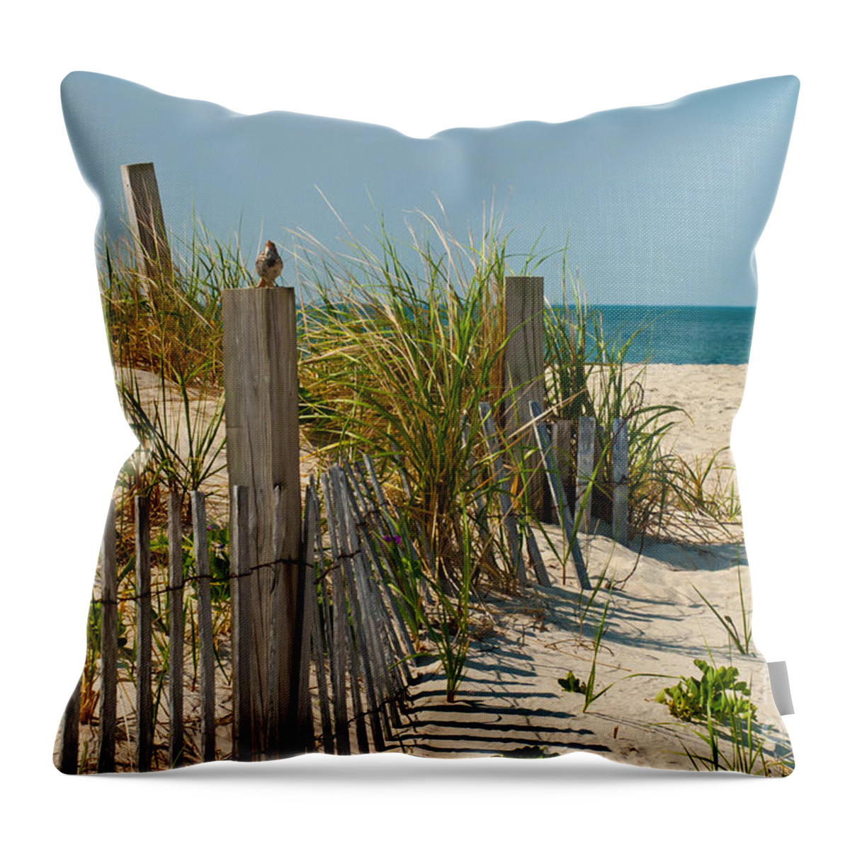 Bird Throw Pillow featuring the photograph Singer at the Shore by Michelle Constantine