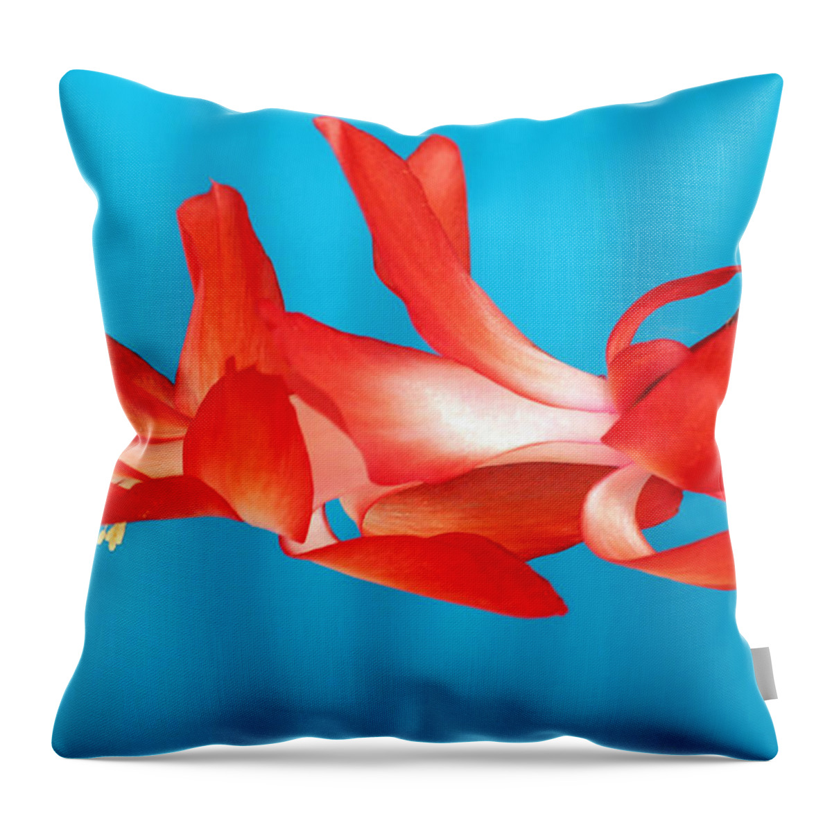 Christmas Cactus Throw Pillow featuring the photograph Single Red Bloom by E Faithe Lester