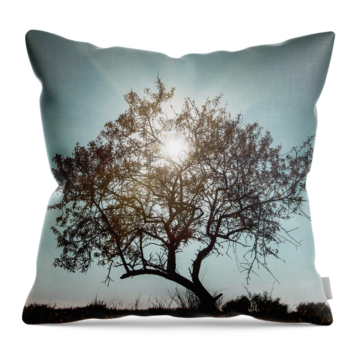Dark Throw Pillow featuring the photograph Single Tree by Carlos Caetano