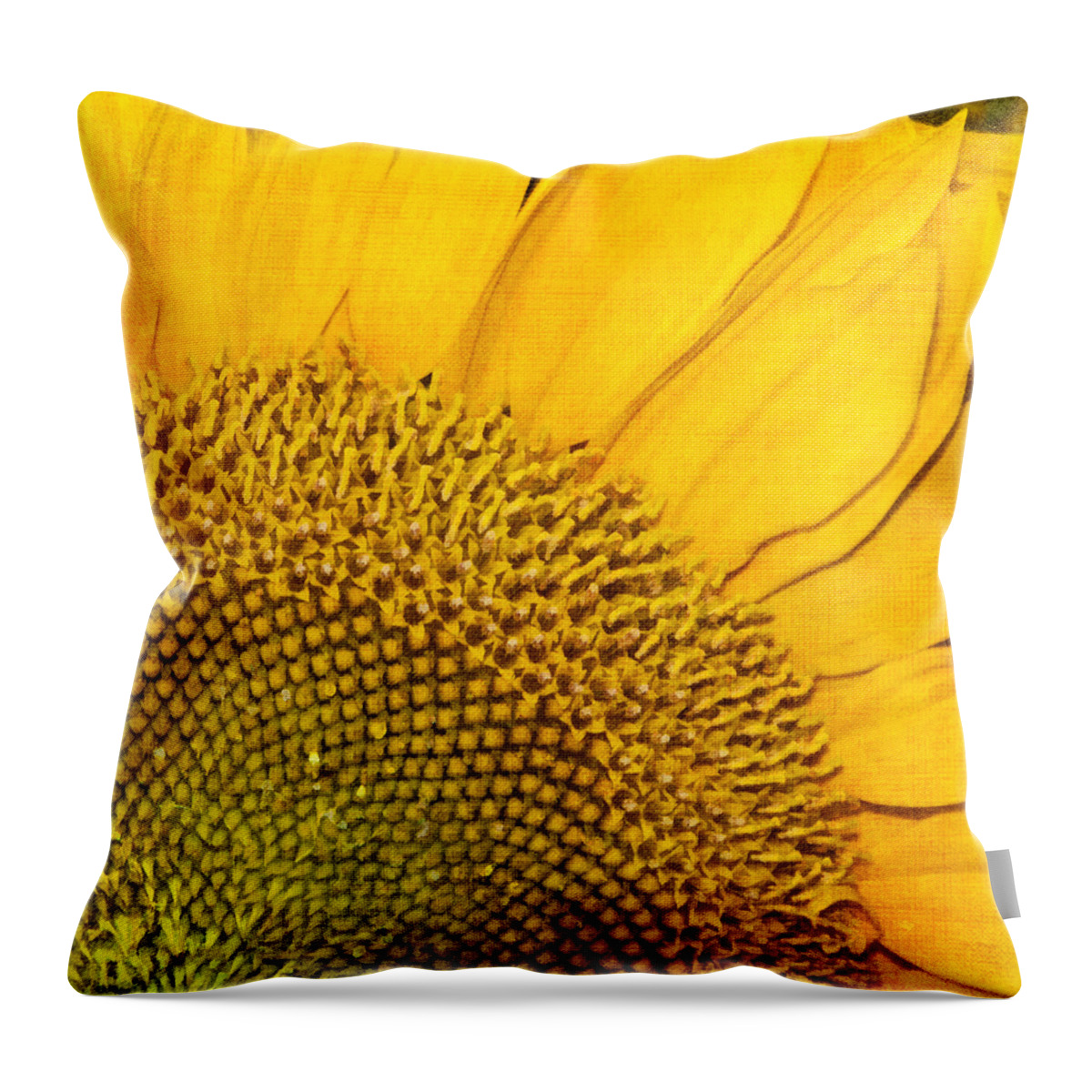 Sunflower Throw Pillow featuring the photograph Slice of Sunshine by Cathy Kovarik