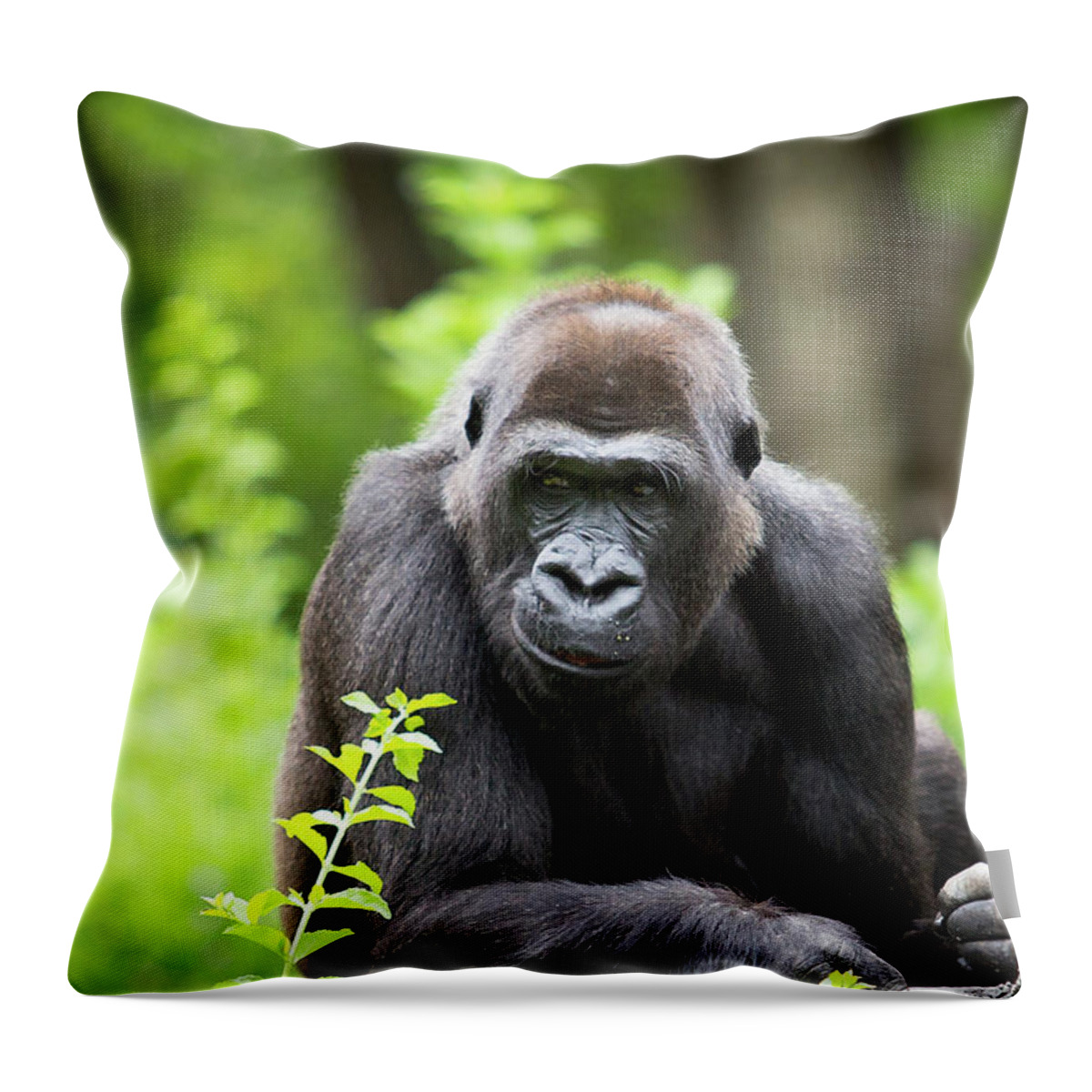 Smirk Gorilla Throw Pillow