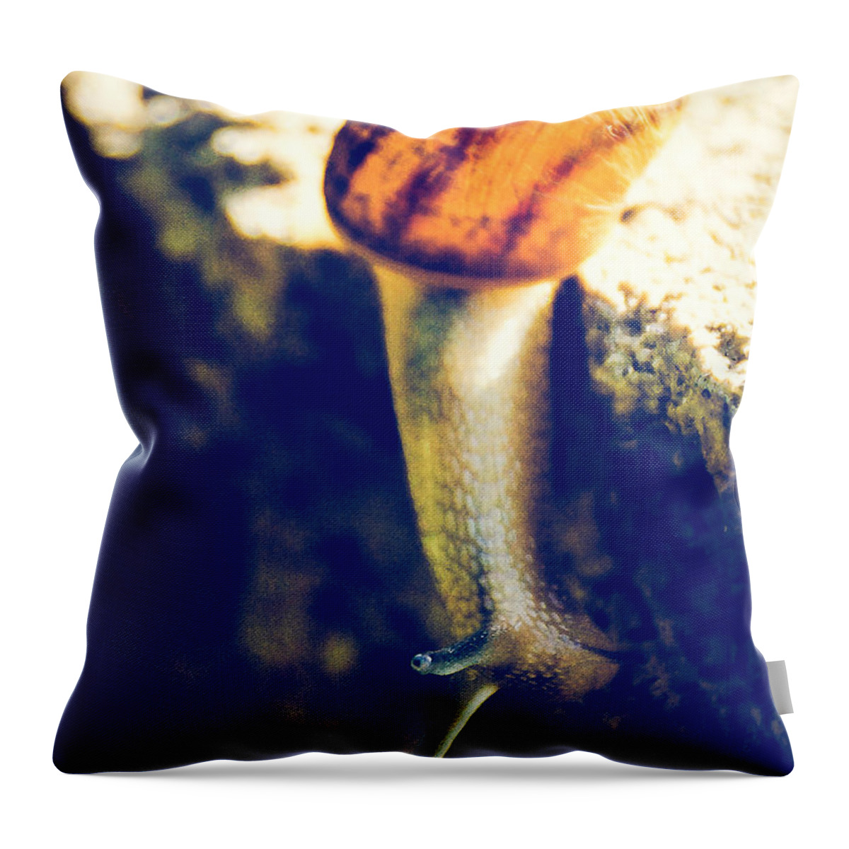 Snail Throw Pillow featuring the photograph Snail in summer day by Gloria Pasko
