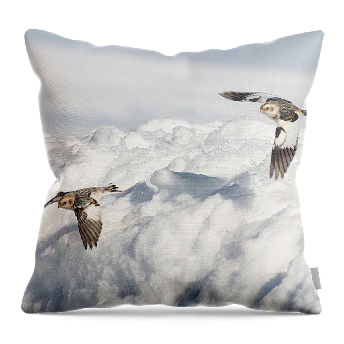 Wildlife Throw Pillow featuring the photograph Snow Buntings in Flight by William Selander