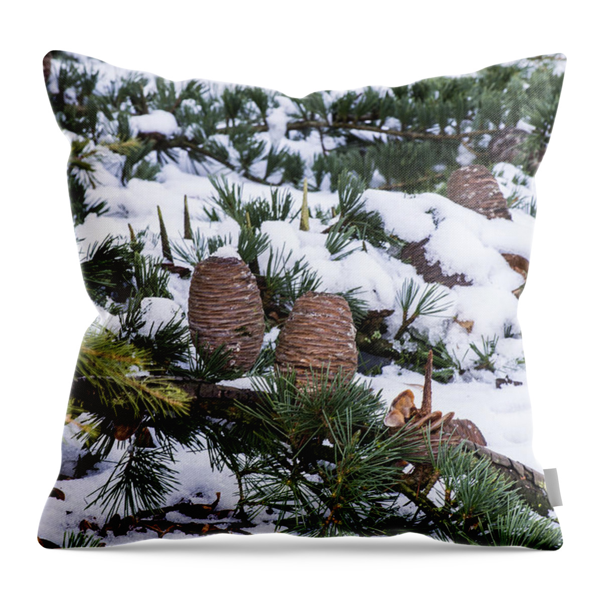 Snow Throw Pillow featuring the photograph Snow Cones by Spikey Mouse Photography