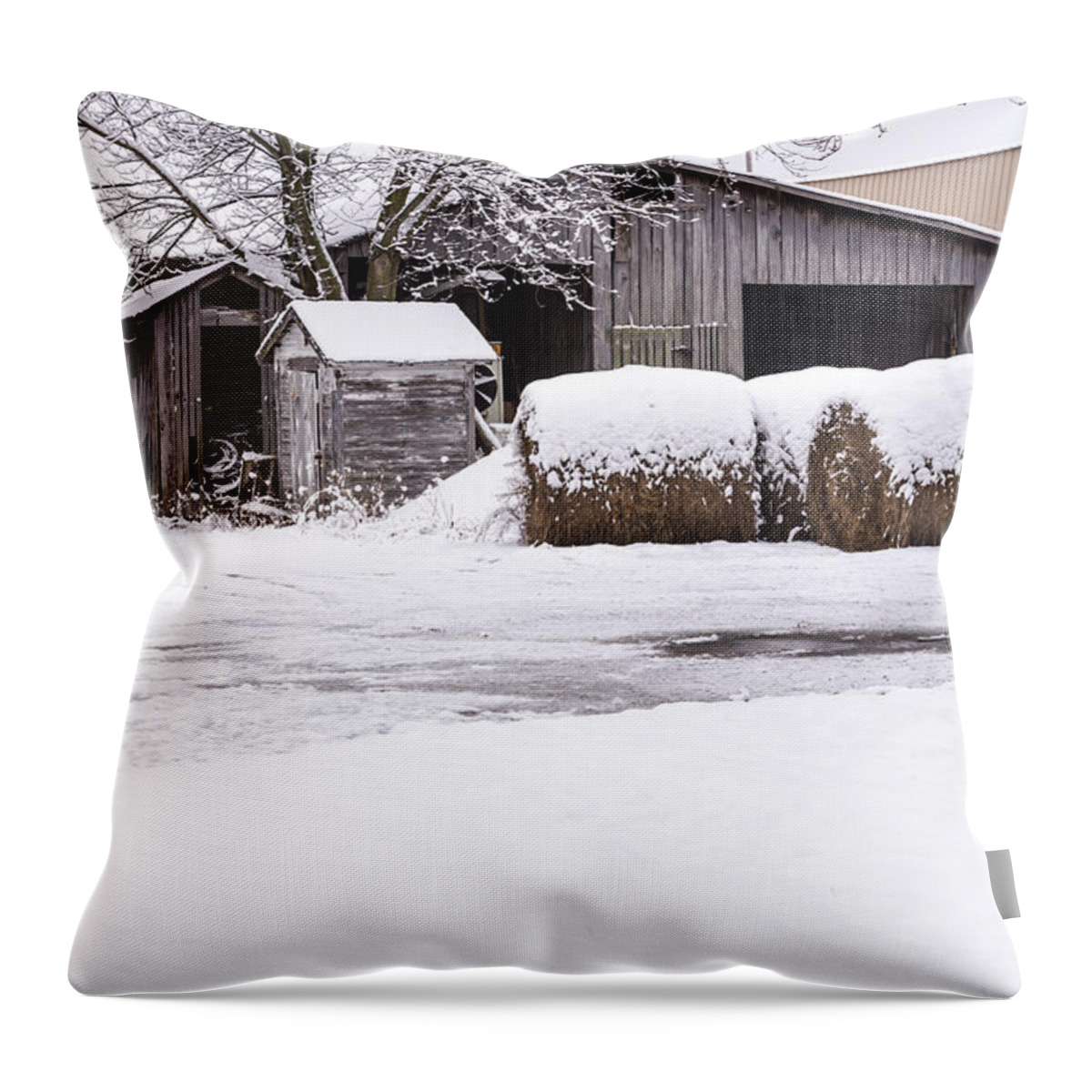 Farm Throw Pillow featuring the photograph Snow Covered Farm by Holden The Moment