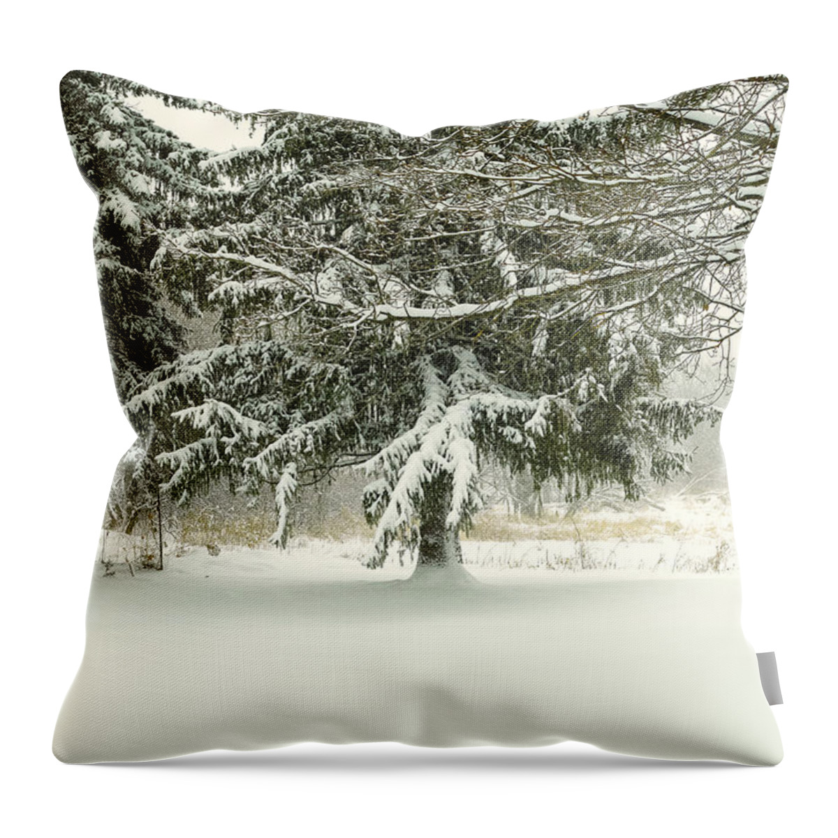 Michigan Throw Pillow featuring the photograph Snow-covered Trees by Lars Lentz