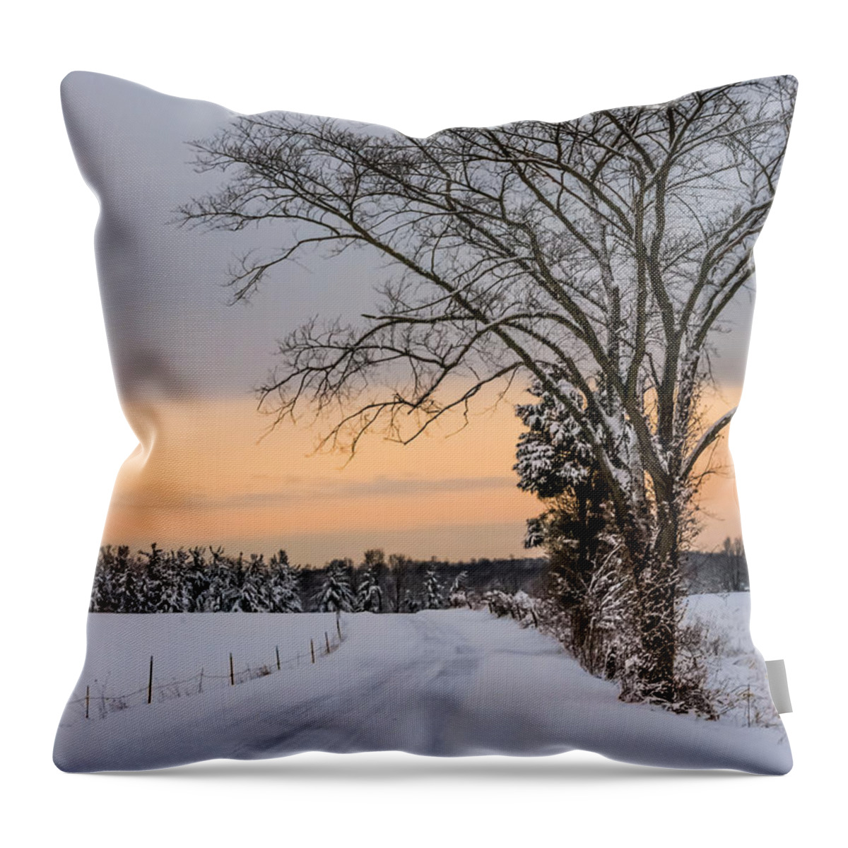 Snow Throw Pillow featuring the photograph Snowy Country Road by Holden The Moment