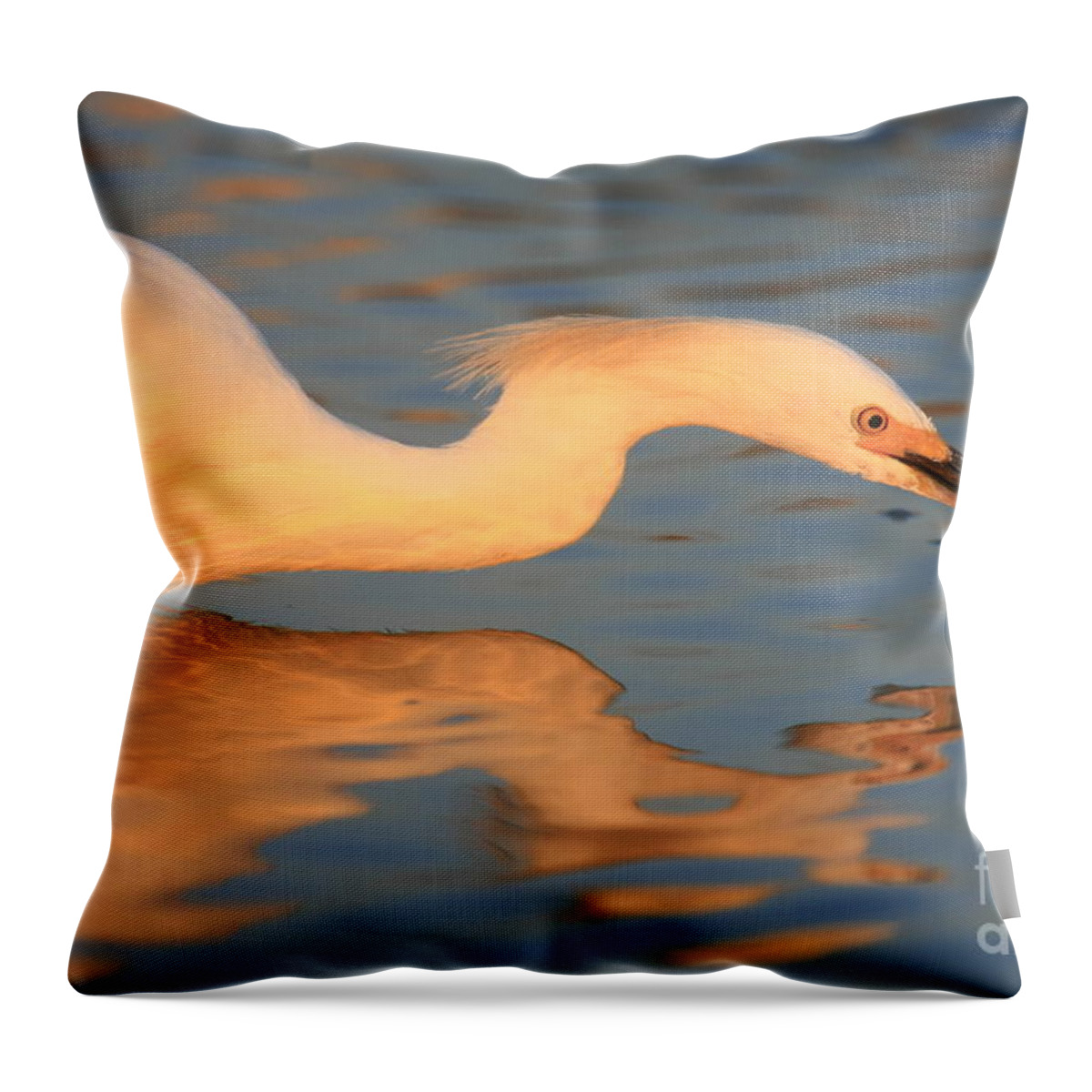 Reflections Throw Pillow featuring the photograph Mirror by John F Tsumas
