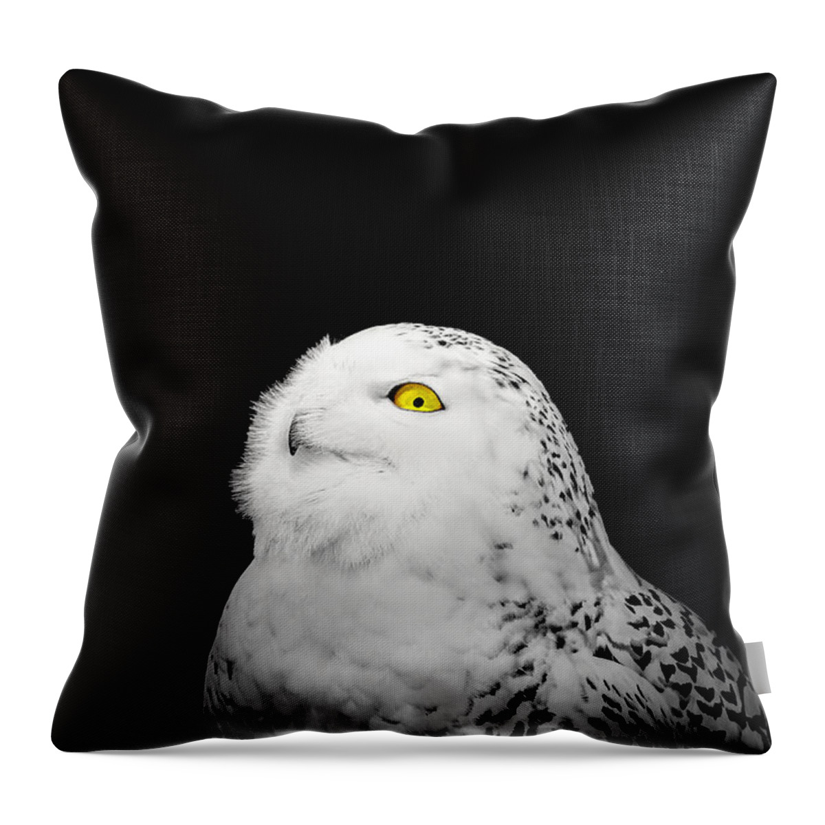 Animal Throw Pillow featuring the photograph Snowy Owl by Peter Lakomy