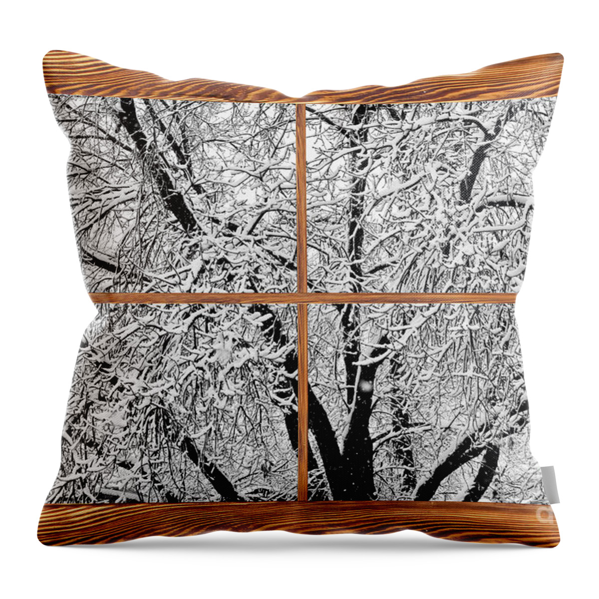 Windows Throw Pillow featuring the photograph Snowy Tree Branches Barn Wood Picture Window Frame View by James BO Insogna