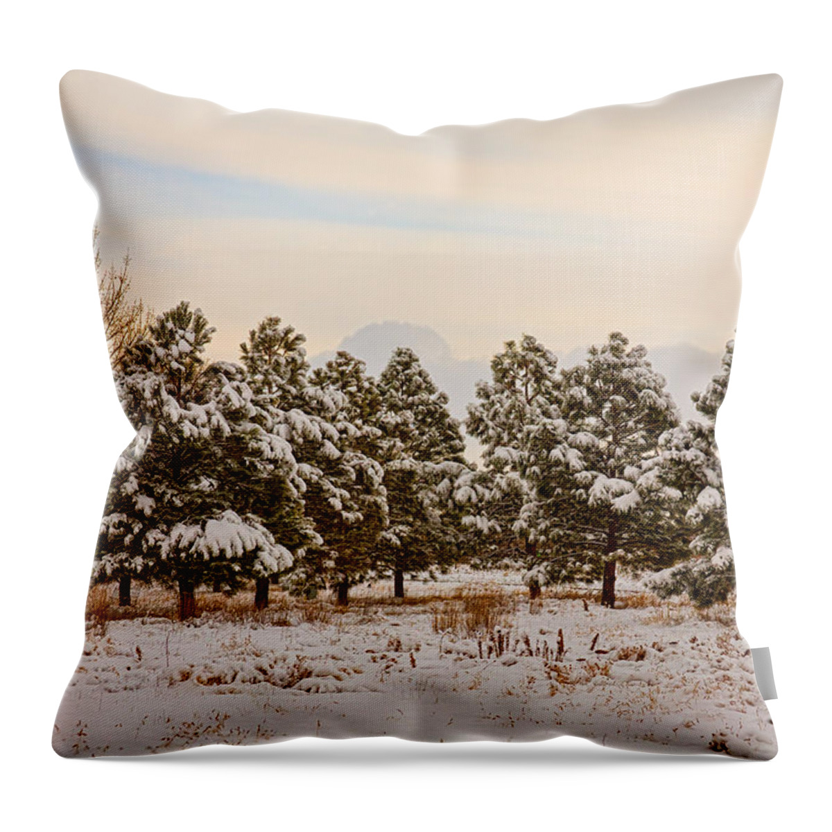 Snow Throw Pillow featuring the photograph Snowy Winter Pine Trees by James BO Insogna