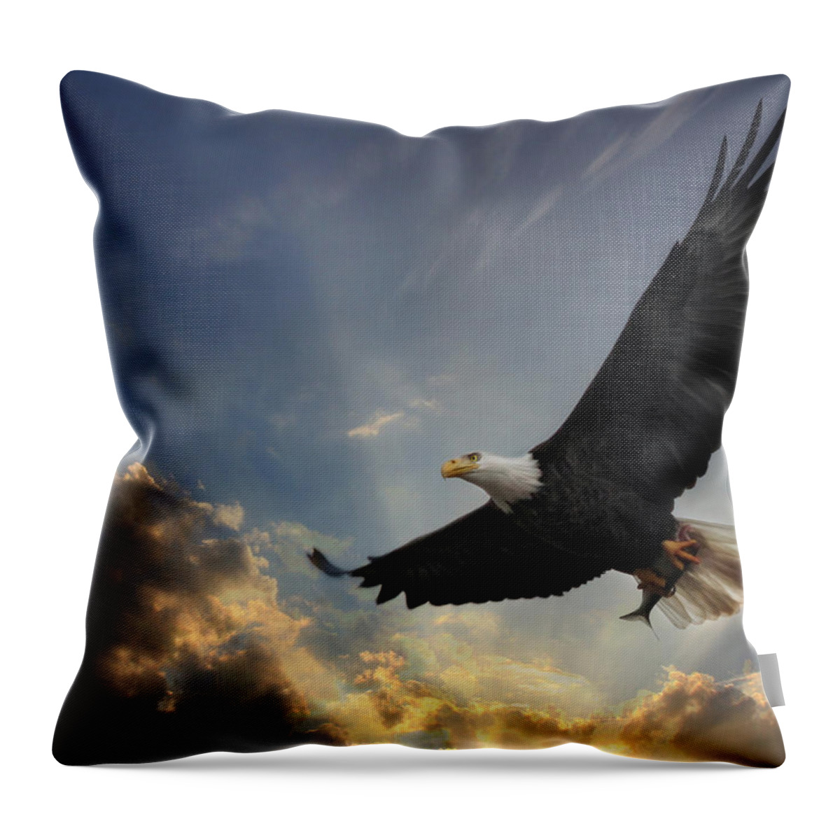 Bird Throw Pillow featuring the photograph Soar to new heights by Lori Deiter
