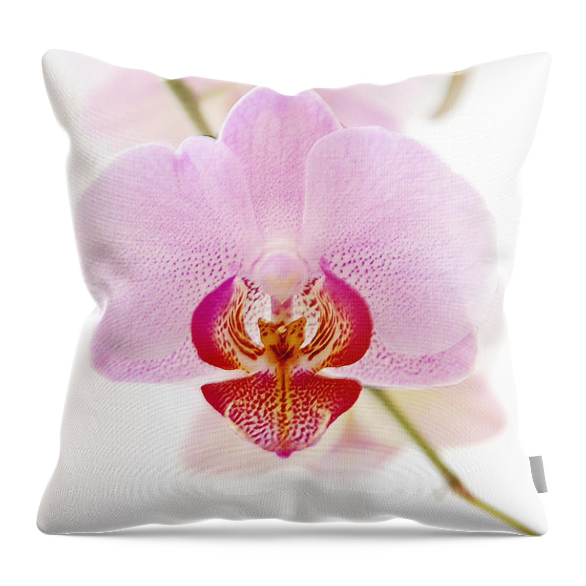 Asia Throw Pillow featuring the photograph Soft Orchid by Hannes Cmarits
