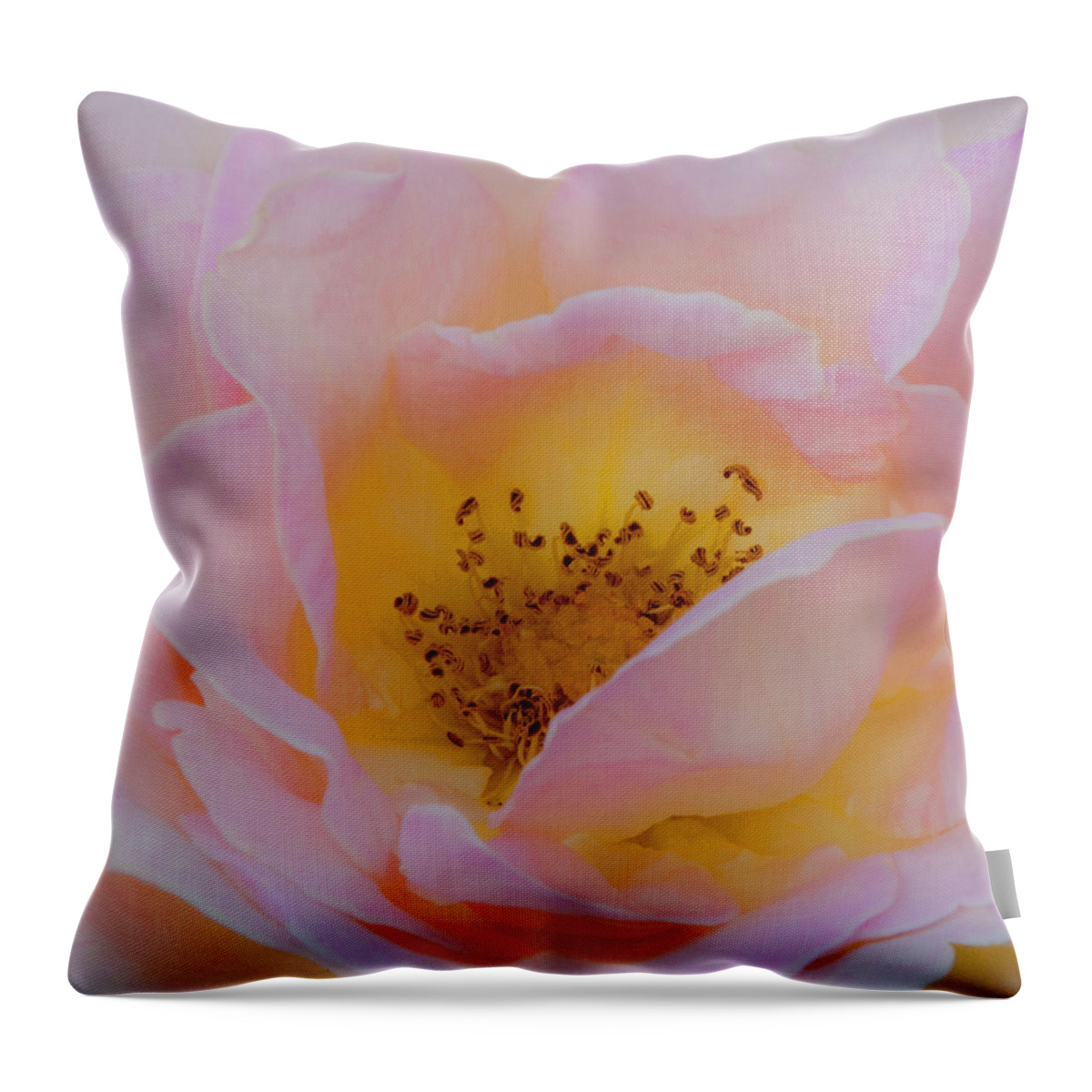 Shabby Chic Throw Pillow featuring the photograph Softly Rose by Theresa Tahara