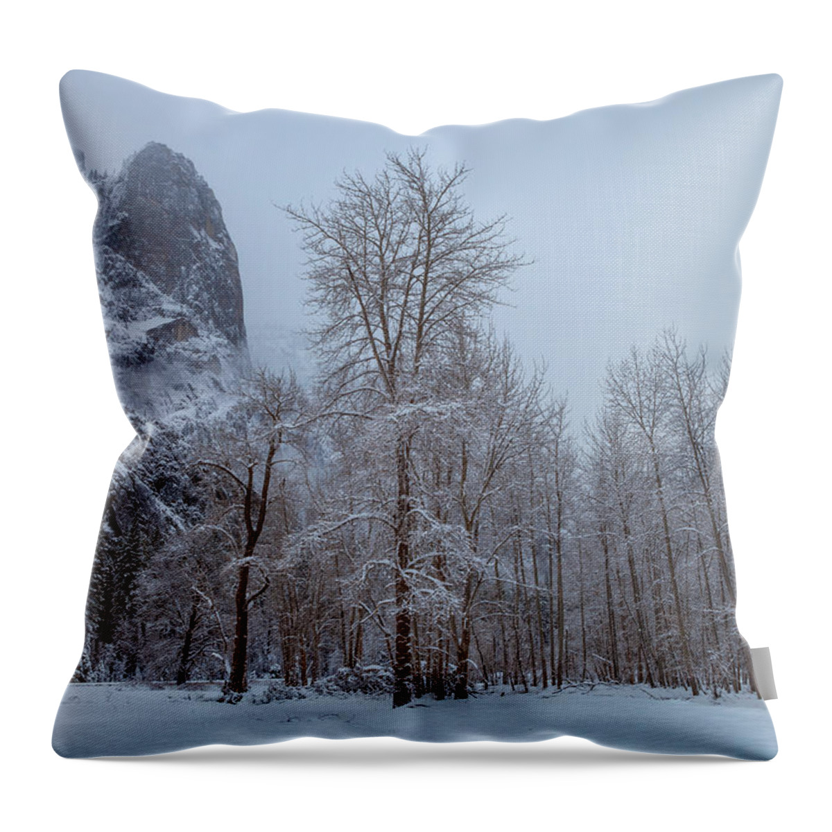 Landscape Throw Pillow featuring the photograph Solitary by Jonathan Nguyen